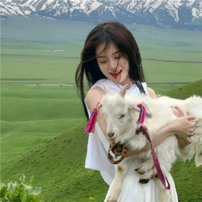 扫毒风云之因货起的祸